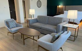 Holiday Inn Houston Reliant Park Area